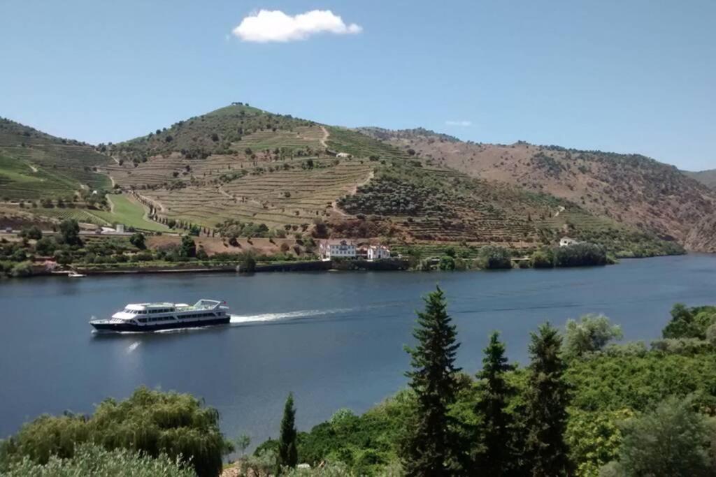 Casa Dos Vinhais - Douro Valley Coleja Exterior foto